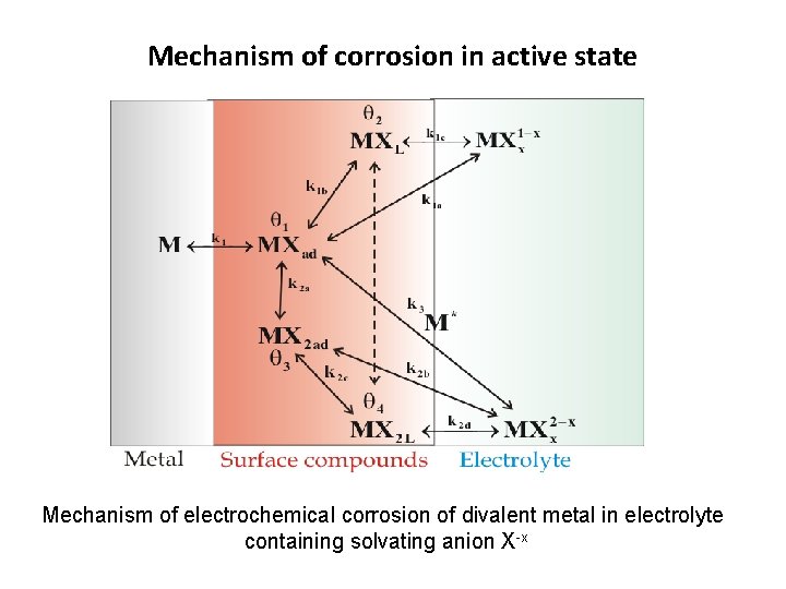 Mechanism of corrosion in active state Mechanism of electrochemical corrosion of divalent metal in