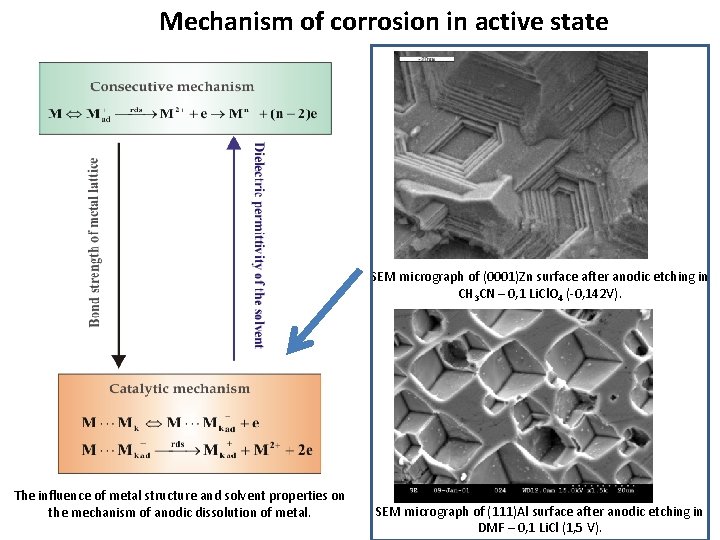 Mechanism of corrosion in active state SEM micrograph of (0001)Zn surface after anodic etching