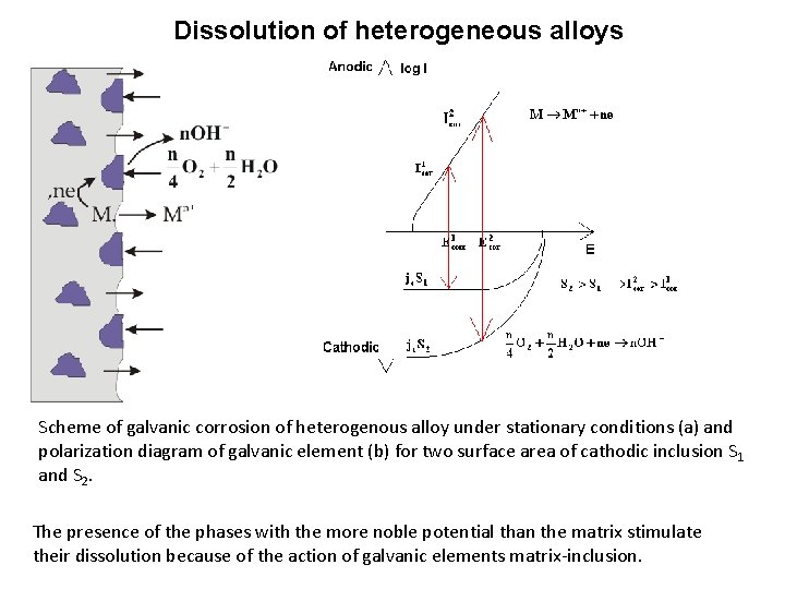 Dissolution of heterogeneous alloys Scheme of galvanic corrosion of heterogenous alloy under stationary conditions