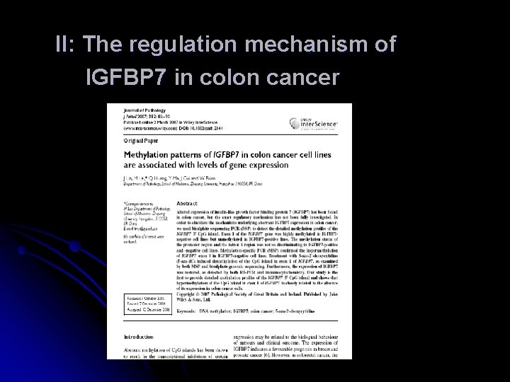 II: The regulation mechanism of IGFBP 7 in colon cancer 