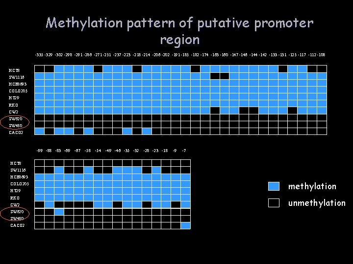 Methylation pattern of putative promoter region -335 -329 -302 -298 -291 -286 -271 -251