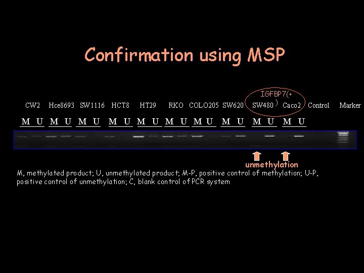 Confirmation using MSP CW 2 Hce 8693 SW 1116 M U M U HCT