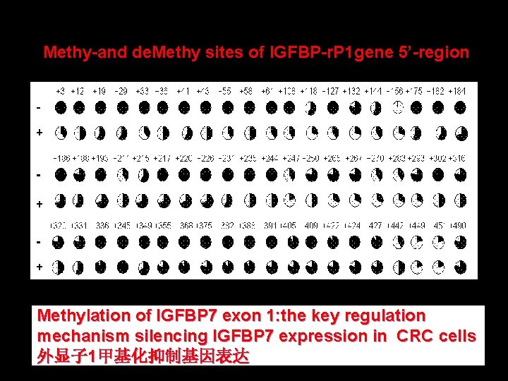 Methy-and de. Methy sites of IGFBP-r. P 1 gene 5’-region -，control； treated cells ；Black