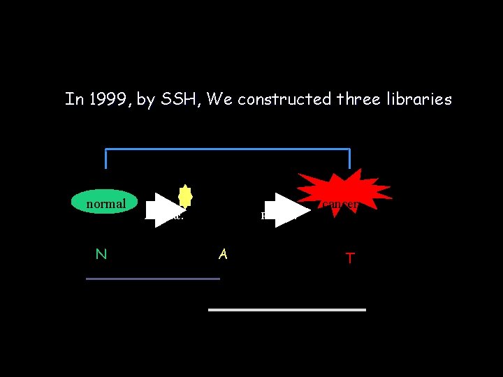 In 1999, by SSH, We constructed three libraries normal adenoma APC, etc. N cancer