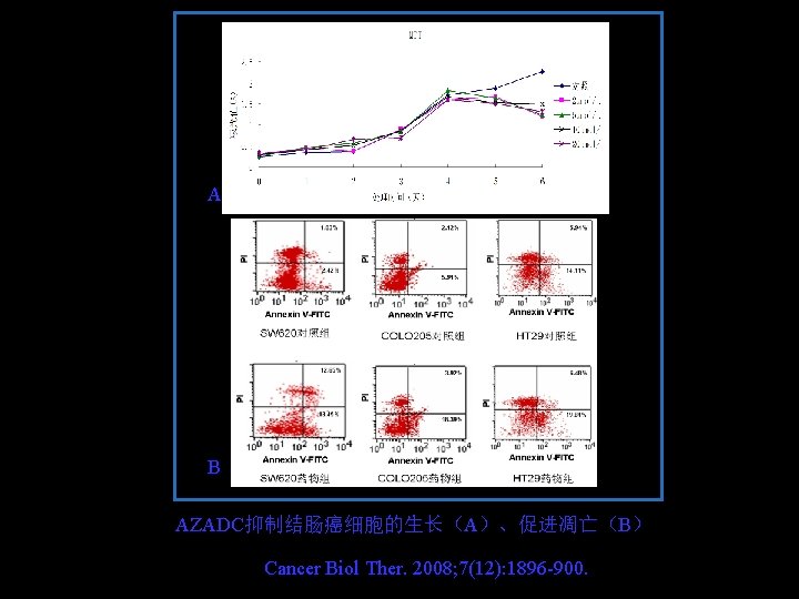 A B AZADC抑制结肠癌细胞的生长（A）、促进凋亡（B） Cancer Biol Ther. 2008; 7(12): 1896 -900. 