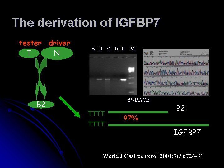 The derivation of IGFBP 7 tester driver N T B 2 A B C