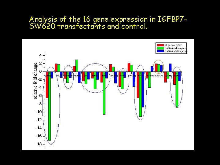 Analysis of the 16 gene expression in IGFBP 7 SW 620 transfectants and control.