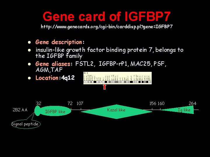 Gene card of IGFBP 7 http: //www. genecards. org/cgi-bin/carddisp. pl? gene=IGFBP 7 l l