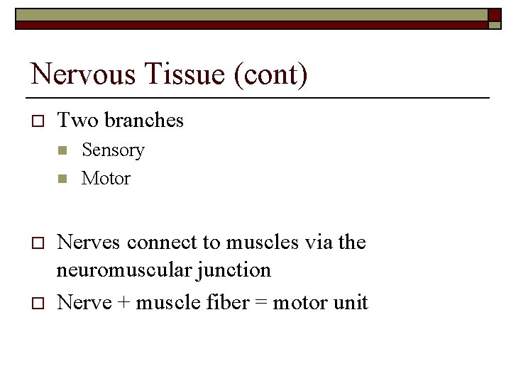 Nervous Tissue (cont) o Two branches n n o o Sensory Motor Nerves connect