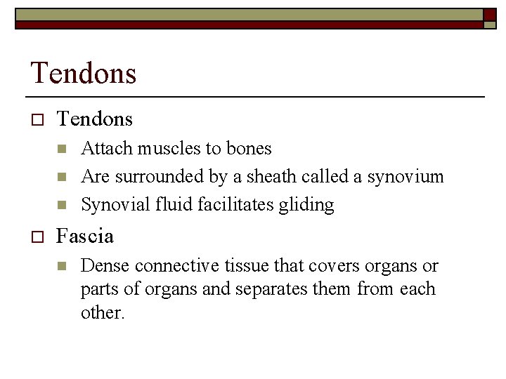 Tendons o Tendons n n n o Attach muscles to bones Are surrounded by