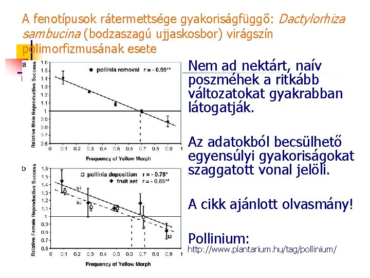 A fenotípusok rátermettsége gyakoriságfüggő: Dactylorhiza sambucina (bodzaszagú ujjaskosbor) virágszín polimorfizmusának esete Nem ad nektárt,