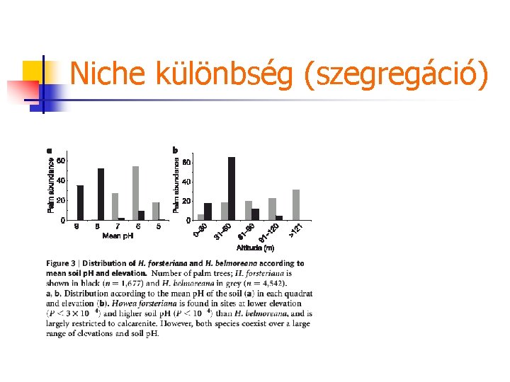 Niche különbség (szegregáció) 