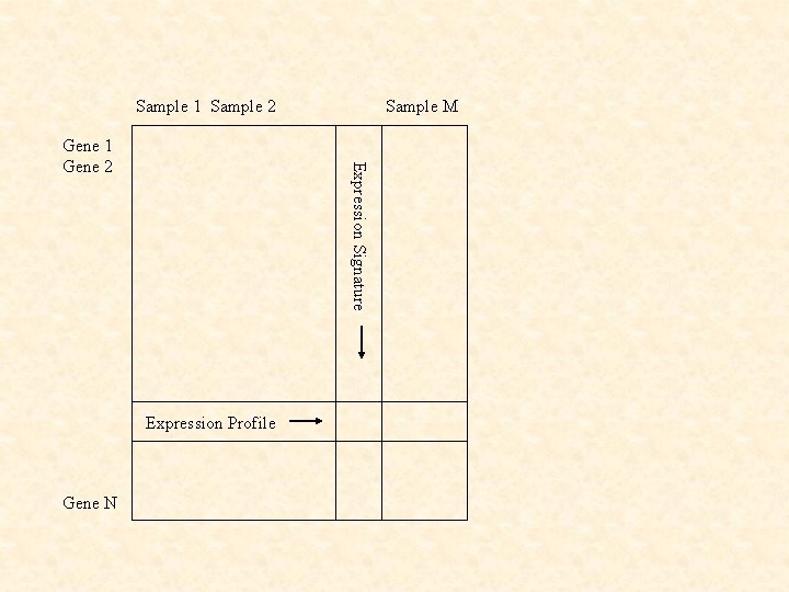 Sample 1 Sample 2 Expression Signature Gene 1 Gene 2 Expression Profile Gene N