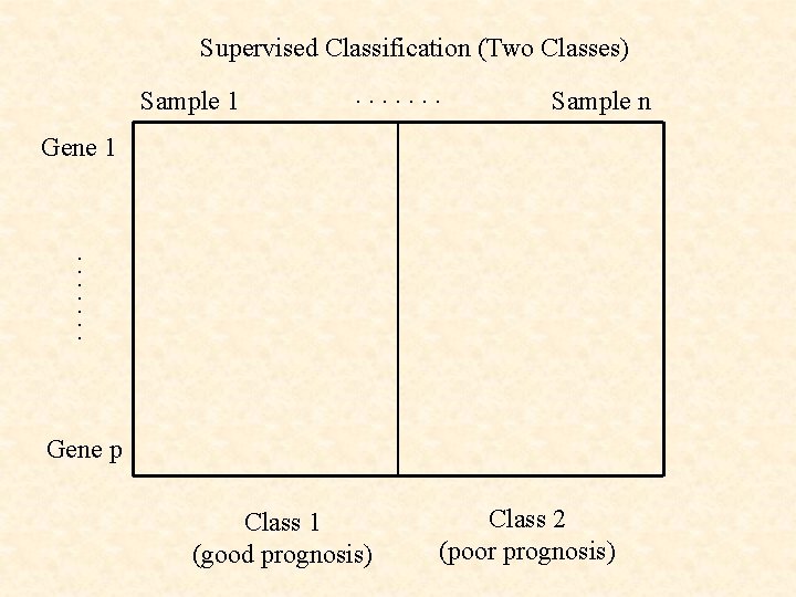 Supervised Classification (Two Classes) Sample 1 . . . . Sample n . .