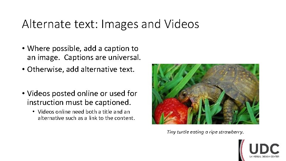 Alternate text: Images and Videos • Where possible, add a caption to an image.