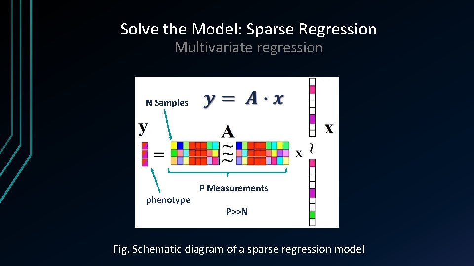 Solve the Model: Sparse Regression Multivariate regression N Samples phenotype P Measurements P>>N Fig. Solve the Model: Sparse Regression Multivariate regression N Samples phenotype P Measurements P>>N Fig.