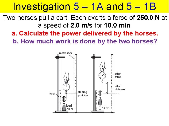 Investigation 5 – 1 A and 5 – 1 B Two horses pull a