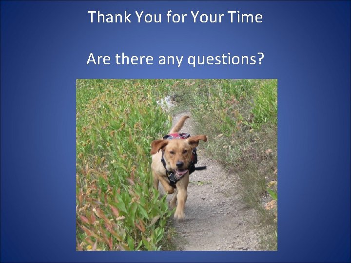 Thank You for Your Time Are there any questions? 
