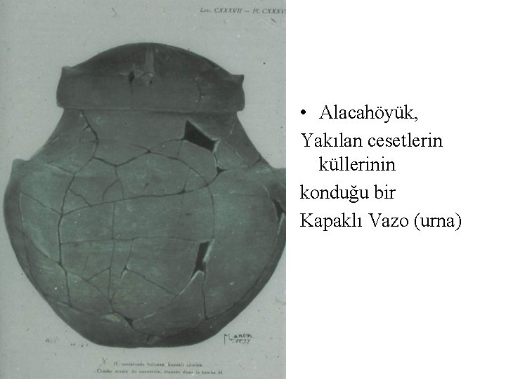 • Alacahöyük, Yakılan cesetlerin küllerinin konduğu bir Kapaklı Vazo (urna) • Alacahöyük, Yakılan cesetlerin küllerinin konduğu bir Kapaklı Vazo (urna)