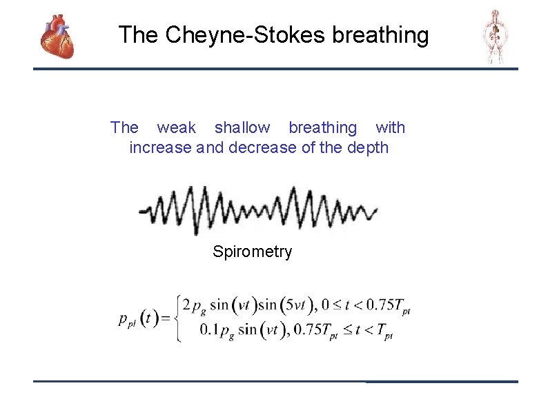 The Cheyne-Stokes breathing The weak shallow breathing with increase and decrease of the depth