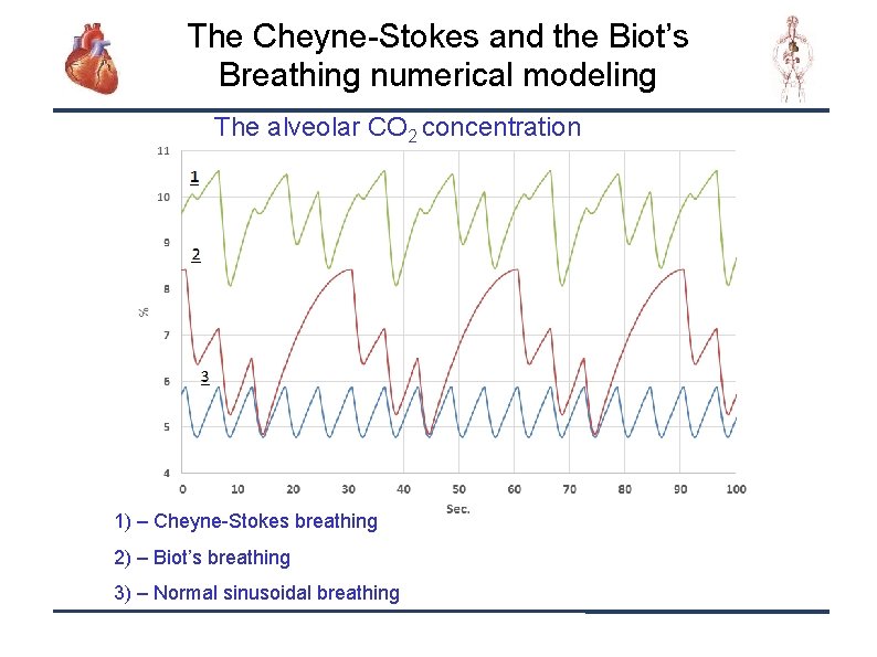 The Cheyne-Stokes and the Biot’s Breathing numerical modeling The alveolar CO 2 concentration 1)