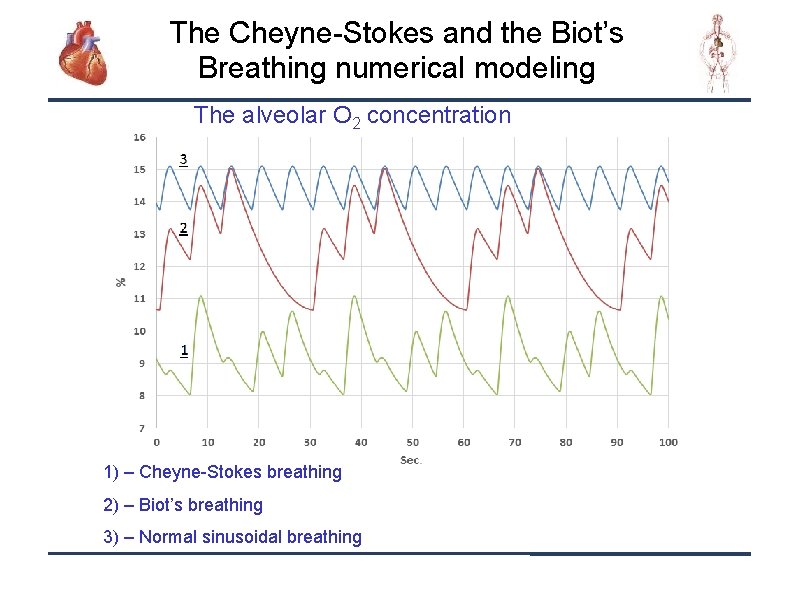 The Cheyne-Stokes and the Biot’s Breathing numerical modeling The alveolar O 2 concentration 1)