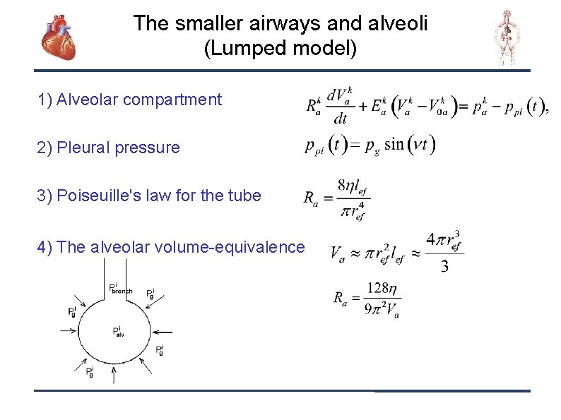 The smaller airways and alveoli (Lumped model) 1) Alveolar compartment 2) Pleural pressure 3)