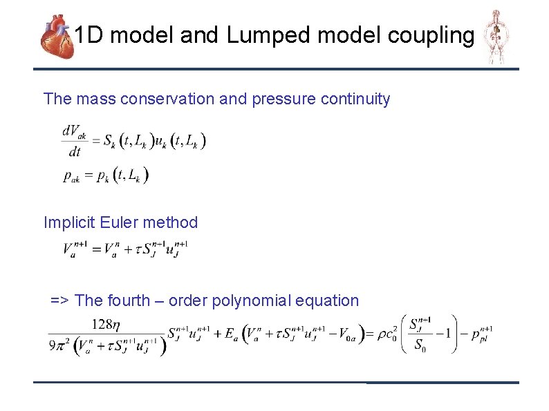 1 D model and Lumped model coupling The mass conservation and pressure continuity Implicit