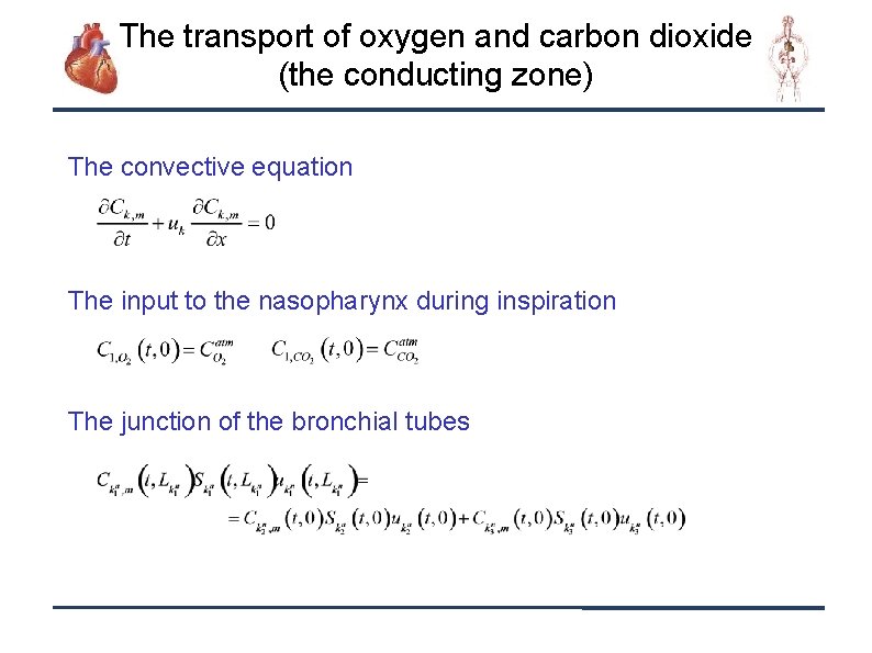The transport of oxygen and carbon dioxide (the conducting zone) The convective equation The