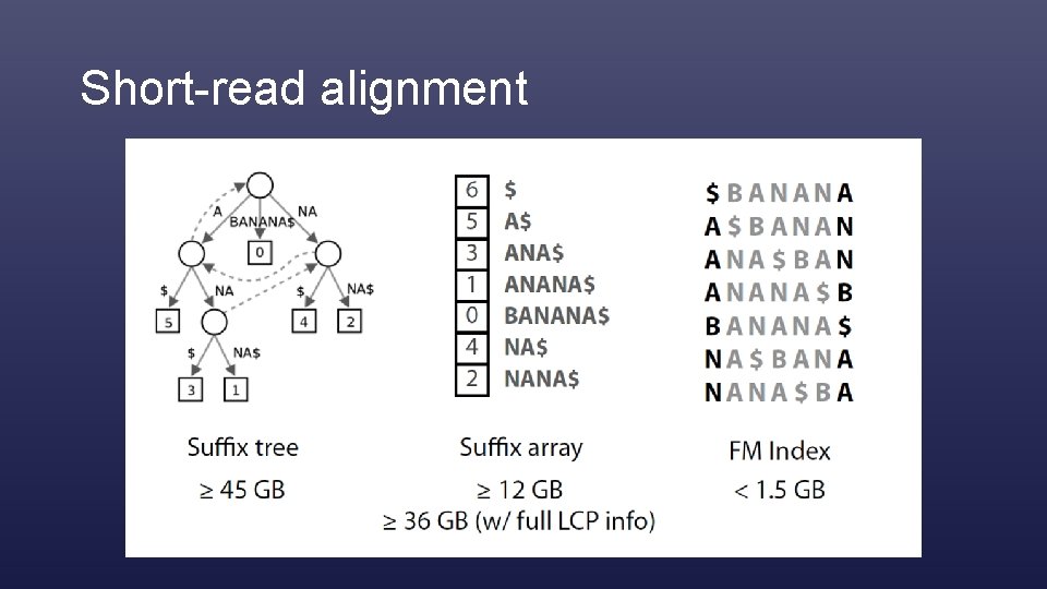 Short-read alignment 