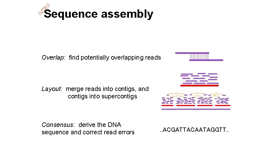 IN TR O Sequence assembly Overlap: find potentially overlapping reads Layout: merge reads into