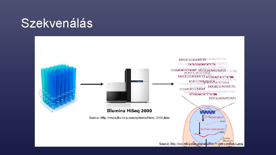 Szekvenálás 