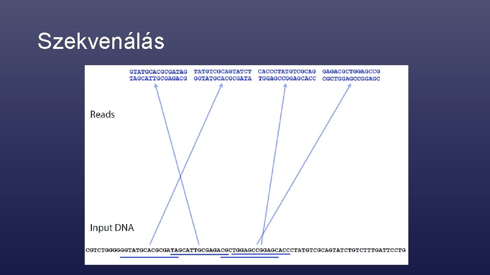 Szekvenálás 