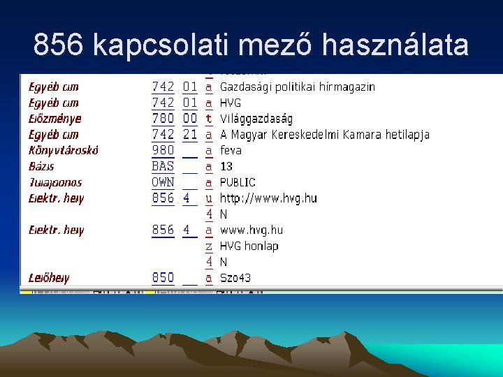 856 kapcsolati mező használata 