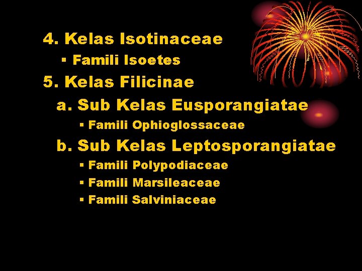 4. Kelas Isotinaceae § Famili Isoetes 5. Kelas Filicinae a. Sub Kelas Eusporangiatae §