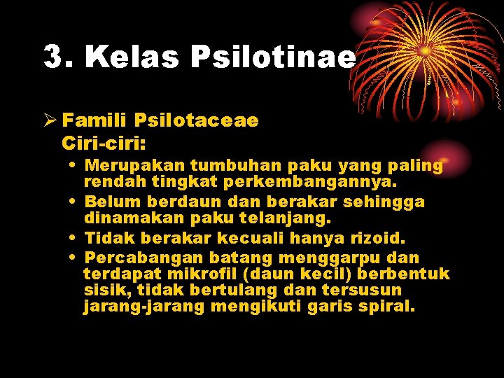 3. Kelas Psilotinae Ø Famili Psilotaceae Ciri-ciri: • Merupakan tumbuhan paku yang paling rendah