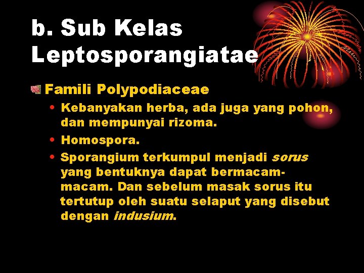 b. Sub Kelas Leptosporangiatae Famili Polypodiaceae • Kebanyakan herba, ada juga yang pohon, dan