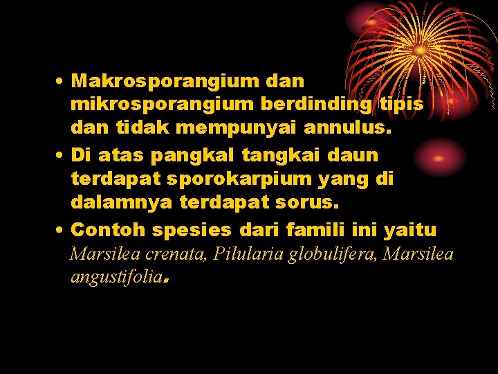  • Makrosporangium dan mikrosporangium berdinding tipis dan tidak mempunyai annulus. • Di atas