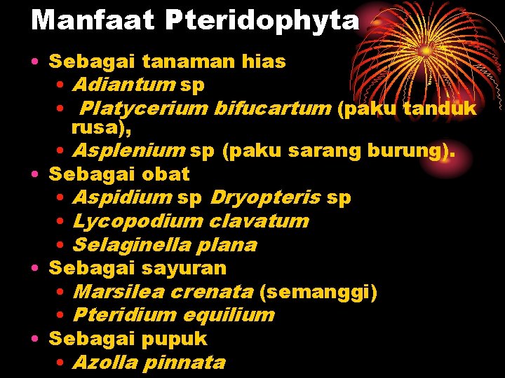 Manfaat Pteridophyta • Sebagai tanaman hias • Adiantum sp • Platycerium bifucartum (paku tanduk
