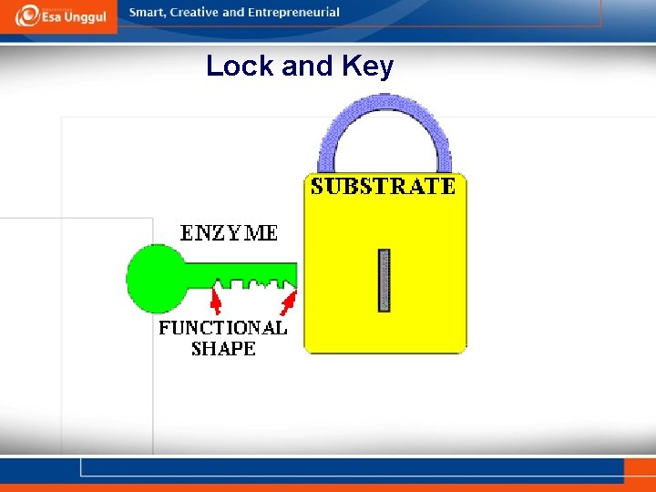 Lock and Key 