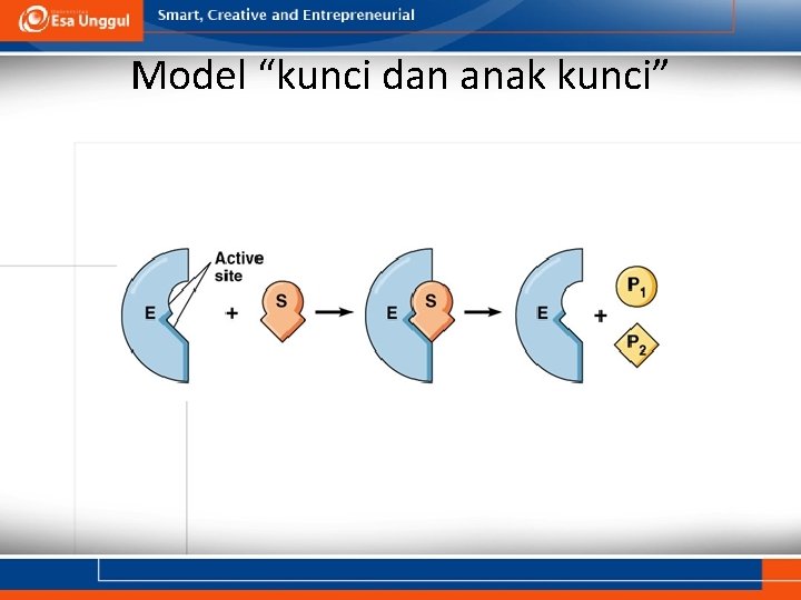 Model “kunci dan anak kunci” 