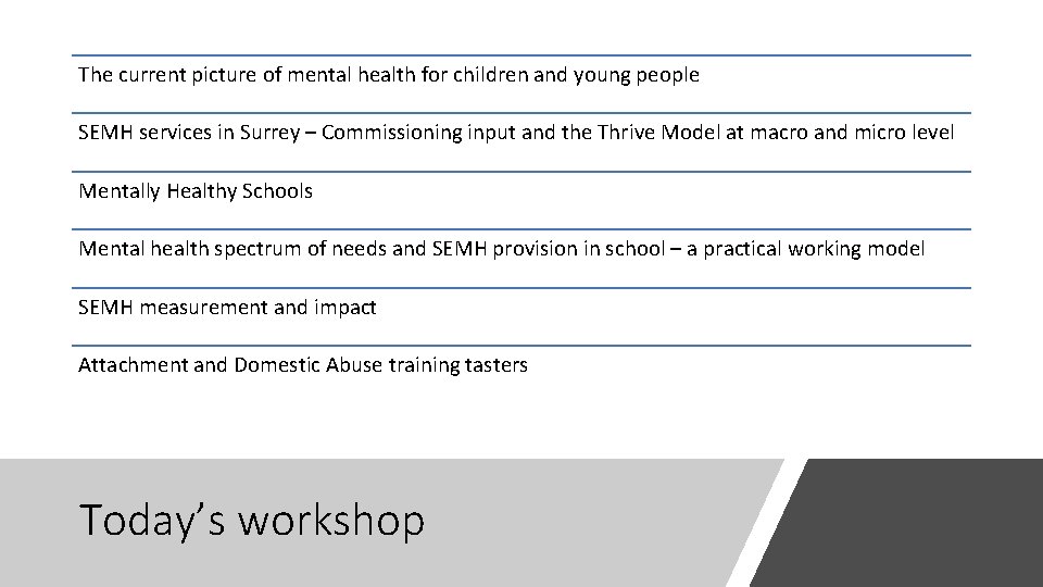 The current picture of mental health for children and young people SEMH services in