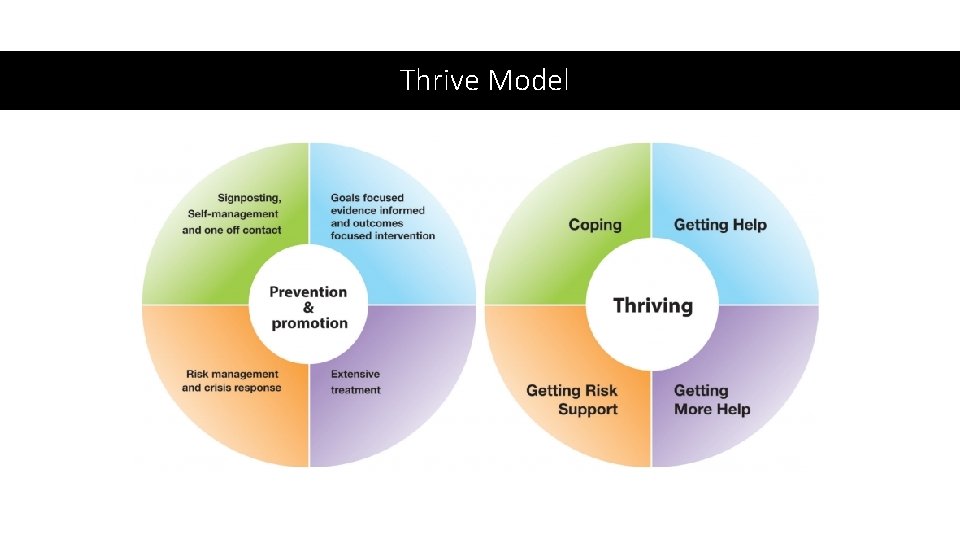 Thrive Model 