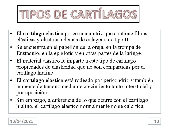 TIPOS DE CARTÍLAGOS • El cartílago elástico posee una matriz que contiene fibras elásticas