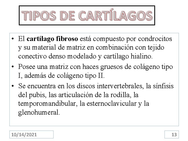 TIPOS DE CARTÍLAGOS • El cartílago fibroso está compuesto por condrocitos y su material