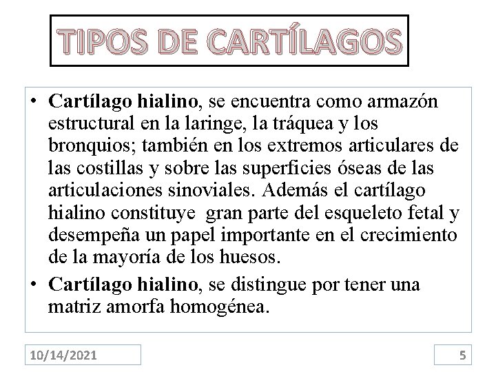 TIPOS DE CARTÍLAGOS • Cartílago hialino, se encuentra como armazón estructural en la laringe,