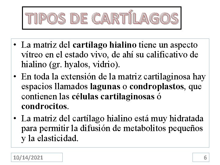 TIPOS DE CARTÍLAGOS • La matriz del cartílago hialino tiene un aspecto vítreo en