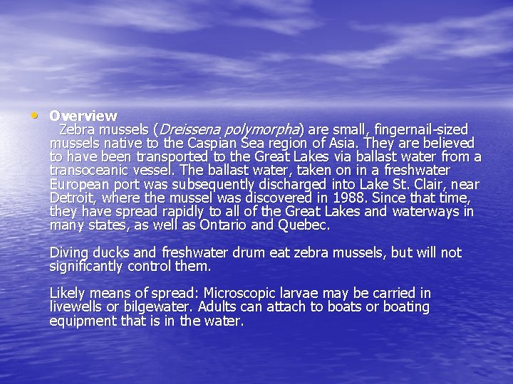  • Overview Zebra mussels (Dreissena polymorpha) are small, fingernail-sized mussels native to the