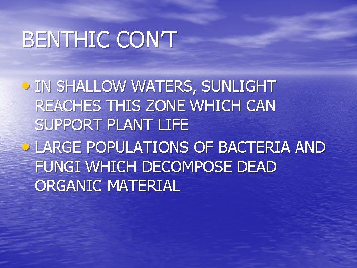BENTHIC CON’T • IN SHALLOW WATERS, SUNLIGHT REACHES THIS ZONE WHICH CAN SUPPORT PLANT