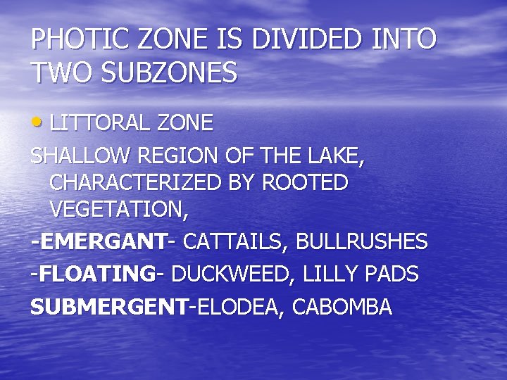 PHOTIC ZONE IS DIVIDED INTO TWO SUBZONES • LITTORAL ZONE SHALLOW REGION OF THE